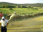 Juego de la calva, agosto 2009